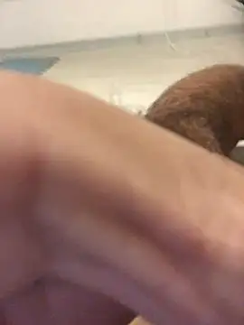 arroba-Go Go online show from 24, 3, 2026