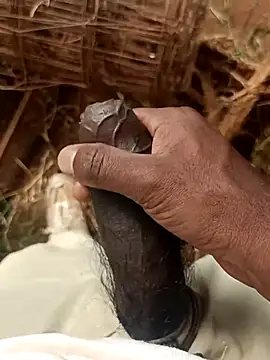 sanju 5418 online show from 19, 4, 2026