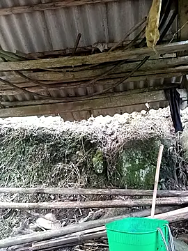 NIANIAKUTE online show from 27, 3, 2026