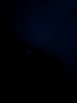 Vaishnavii online show from 21, 3, 2026