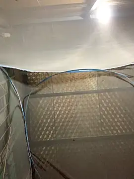 tieuvy6 online show from 16, 4, 2026