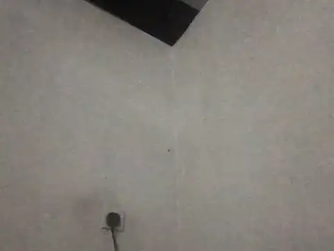 alisa teengirl online show from 21, 3, 2026