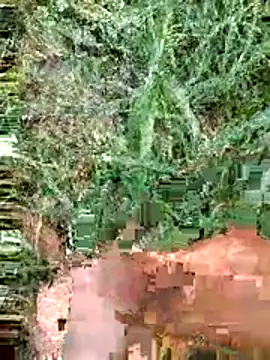 luck00y online show from 14, 6, 2026