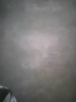 Snapshot of Want-fun chatting on 18, 6, 2026 Want-fun online show from 18, 6, 2026