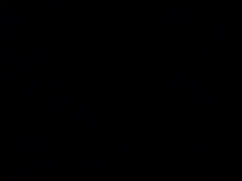 nozie03 online show from 10, 5, 2026