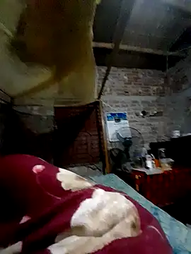 salam632 online show from 30, 3, 2026