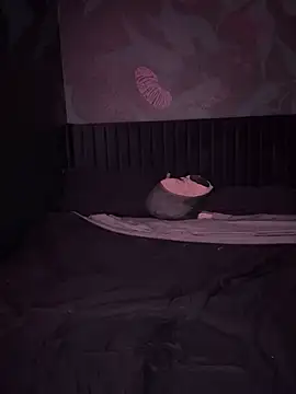 VERALONGG online show from 3, 4, 2026