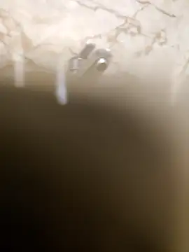 OBengaliBabuO online show from 16, 3, 2025