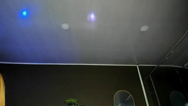 angelina hilton online show from 25, 5, 2026