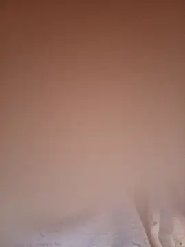 Carolinamascara online show from 18, 4, 2026