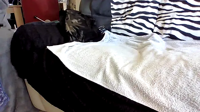 Beseb2 online show from 17, 4, 2026