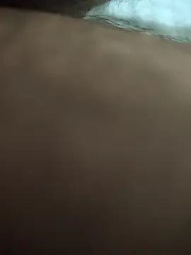 saur1221wjz online show from 17, 4, 2026