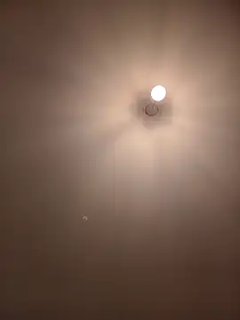 Dietosca online show from 13, 4, 2026