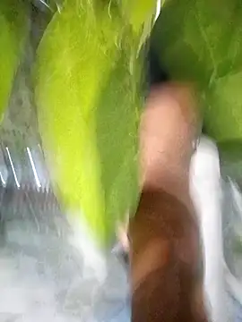 hot-daring online show from 14, 4, 2026