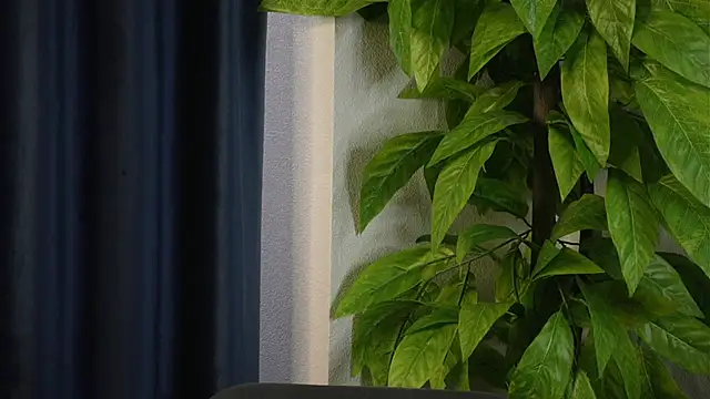 SelmaHjort online show from 27, 4, 2026