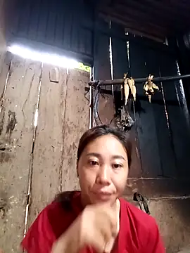Jinli 01 online show from 3, 5, 2026