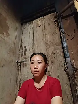Jinli 01 online show from 26, 5, 2026