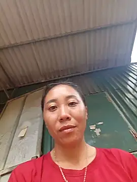 Jinli 01 online show from 29, 5, 2026