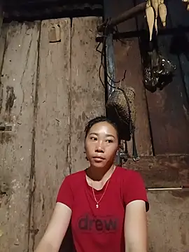 Jinli 01 online show from 29, 5, 2026