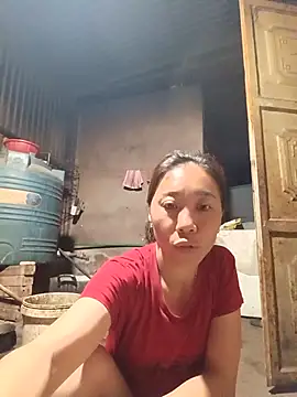 Jinli 01 online show from 31, 5, 2026
