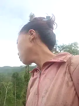 Jinli 01 online show from 13, 6, 2026