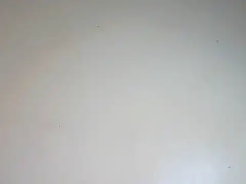 Snapshot of Sexydoll36 chatting on 3, 8, 2026 Sexydoll36 online show from 3, 8, 2026