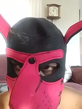 sillybonker online show from 25, 5, 2026