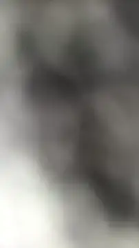 Snapshot of languste25 chatting on 9, 7, 2026 languste25 online show from 9, 7, 2026