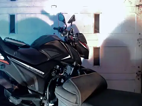 Brendt Hotx online show from 21, 6, 2026