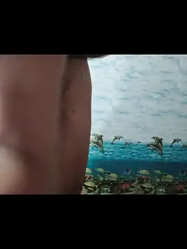 Kevin hottie online show from 29, 6, 2026