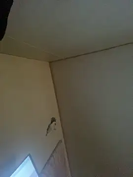 honeycum444 online show from 8, 6, 2026