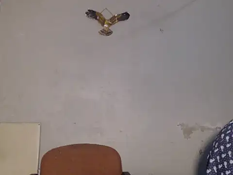 Snapshot of Frank_X_Husle chatting on 13, 7, 2026 Frank X Husle online show from 13, 7, 2026