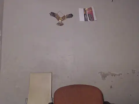 Snapshot of Frank_X_Husle chatting on 3, 8, 2026 Frank X Husle online show from 3, 8, 2026