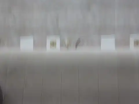 Snapshot of hey_darling_ chatting on 12, 6, 2026 hey darling online show from 12, 6, 2026