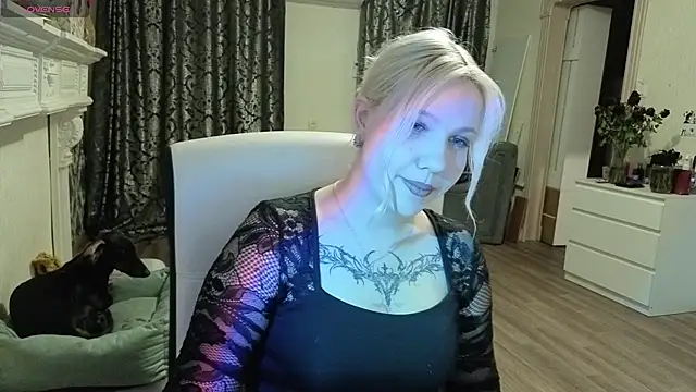 moon  shy online show from 26, 7, 2026