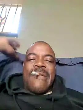 Rod Gorilla online show from 28, 6, 2026