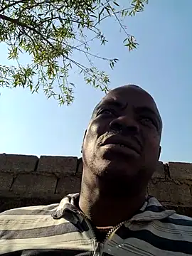 Rod Gorilla online show from 6, 7, 2026