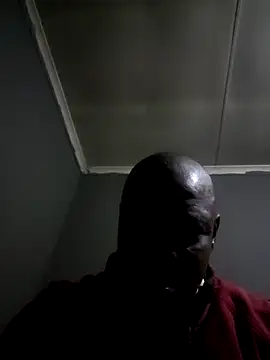 Rod Gorilla online show from 18, 7, 2026