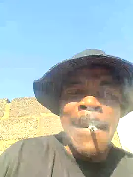 Rod Gorilla online show from 26, 7, 2026
