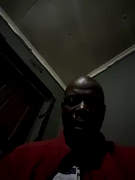 Rod Gorilla online show from 3, 8, 2026