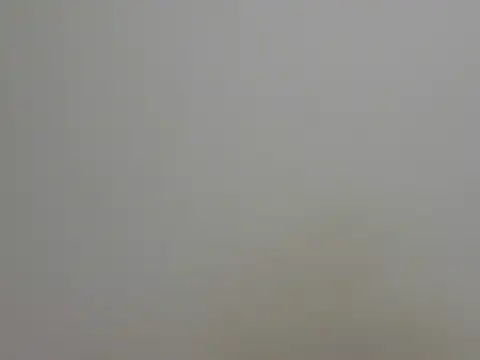 Arriana  online show from 21, 6, 2026