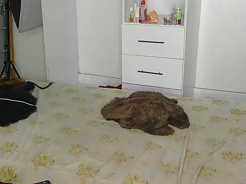 SexyLi  online show from 30, 7, 2026