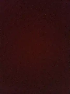 honeydickblack online show from 28, 7, 2026