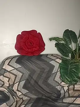 Cupid Mayra online show from 4, 8, 2026
