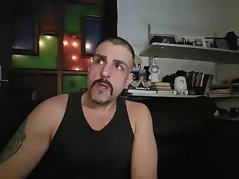 BrunoAlphaBR online show from 21, 7, 2026