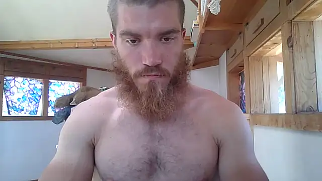 Tonybz0 online show from 28, 7, 2026