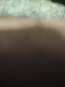 Hot rajveersX live online show from 7, 8, 2026