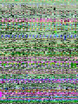 17cm-duchu online show from 20, 7, 2026