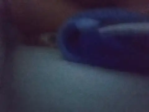 Snapshot of Chinitabella88 chatting on 3, 8, 2026 Chinitabella88 online show from 3, 8, 2026