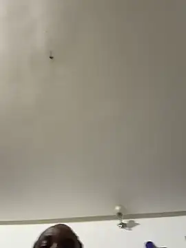 myhoneymolly online show from 29, 7, 2026